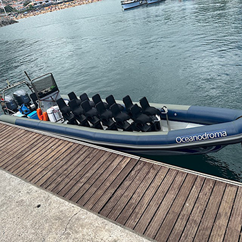 Pelagic Rib