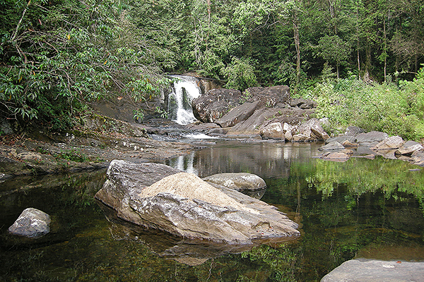 Sinharaja