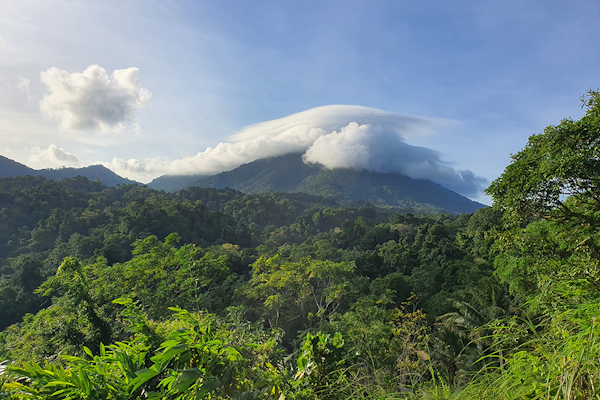 Two Brothers Viewpoint