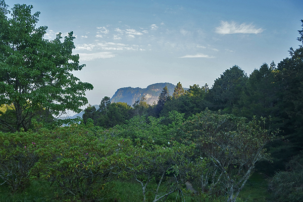 Alishan