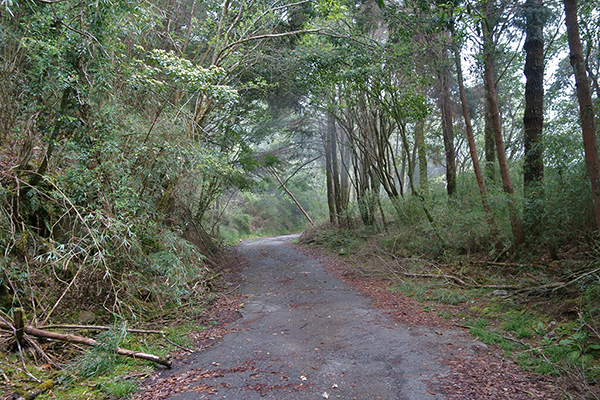 Dashueshan National Park