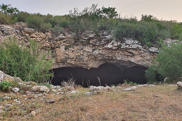Bat Cave