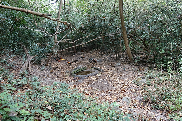View from Lung Sin hide