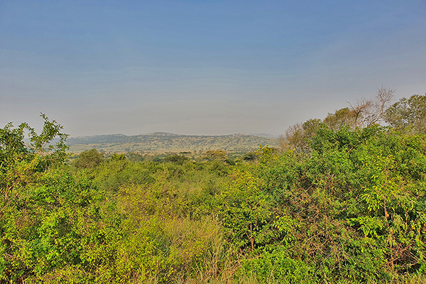 Queen Elizabeth National Park