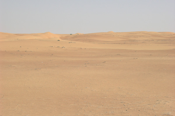 Desert in the UAE