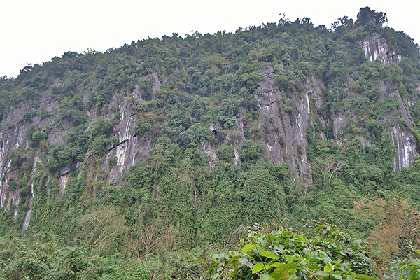 Phong Nha