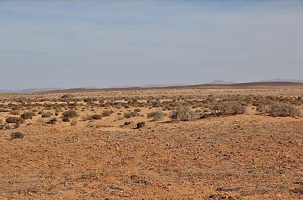 Goulimine Desert