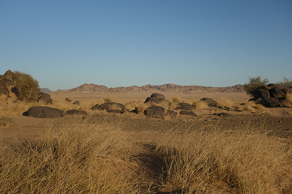 Western Sahara desert