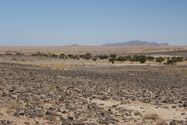 Western Sahara oued